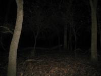 Chicago Ghost Hunters Group investigates Robinson Woods (202).JPG